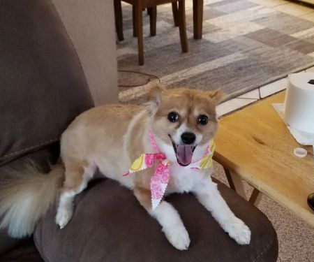 Jefferson County Animal Hospital