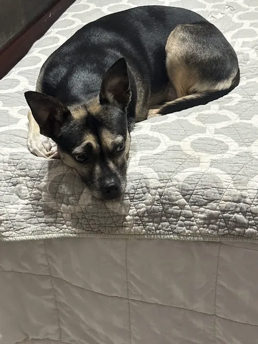 Jefferson County Animal Hospital Picture 5