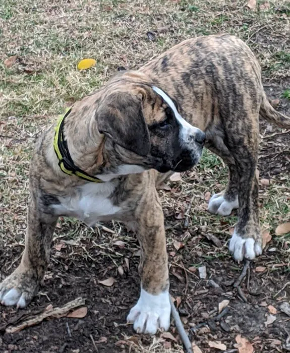 Jefferson County Animal Hospital Picture 8