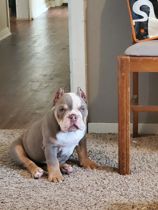 Jefferson County Animal Hospital Picture 6