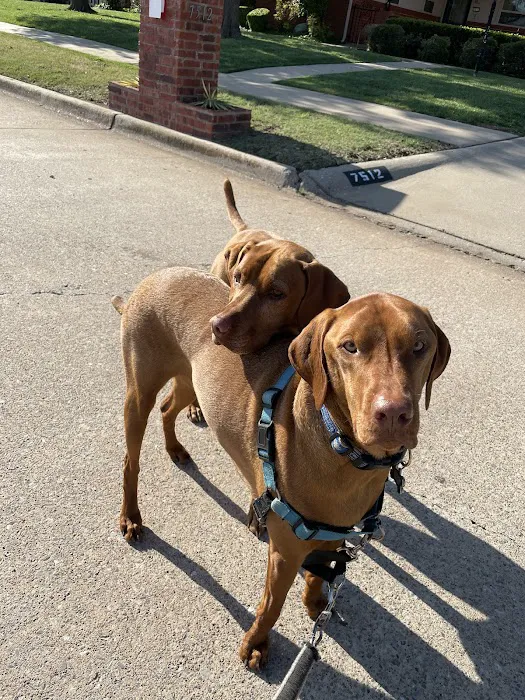 Oak Ridge Animal Center Picture 1