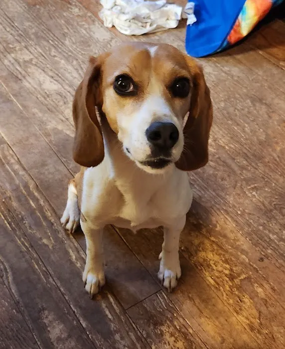 Oak Ridge Animal Center Picture 3