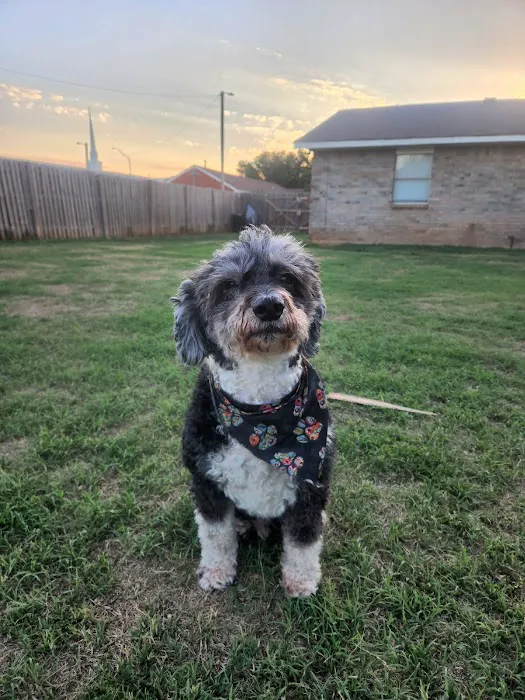 Oak Ridge Animal Center Picture 6