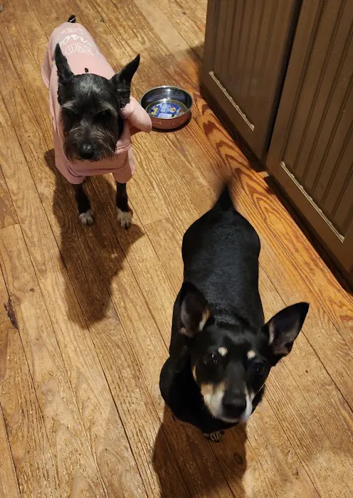 Oak Ridge Animal Center Picture 5