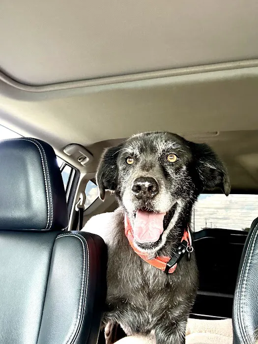 Oak Ridge Animal Center Picture 7