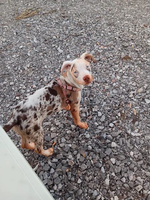 Oak Ridge Animal Center Picture 8