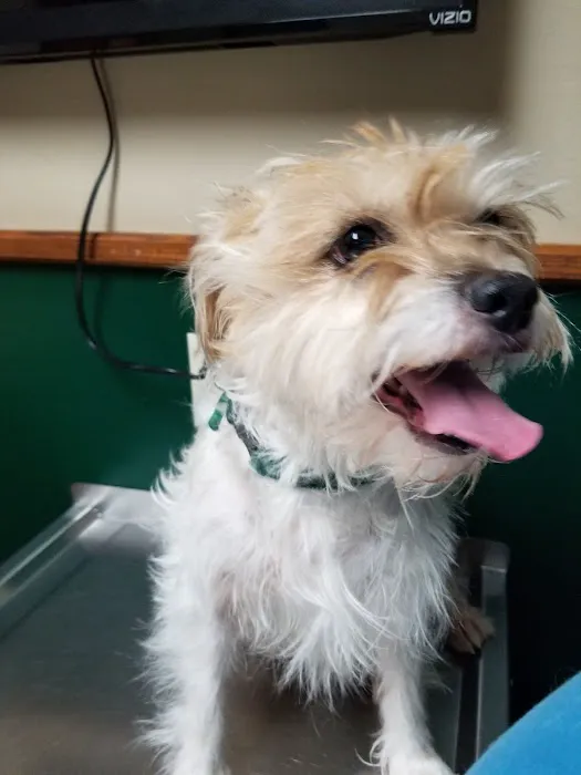 Oak Ridge Animal Center Picture 9