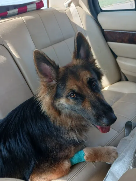 Oak Ridge Animal Center Picture 10