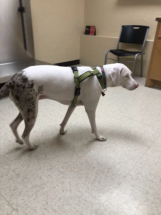 Hergenrether Animal Hospital Picture 2