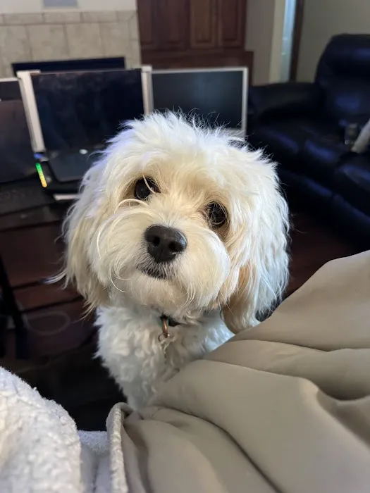 Hergenrether Animal Hospital Picture 1