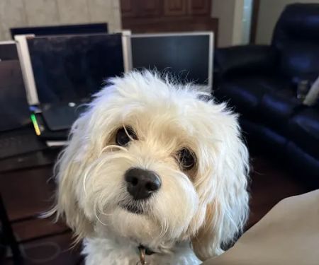 Hergenrether Animal Hospital