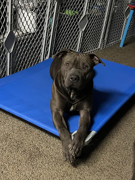 Hergenrether Animal Hospital Picture 5