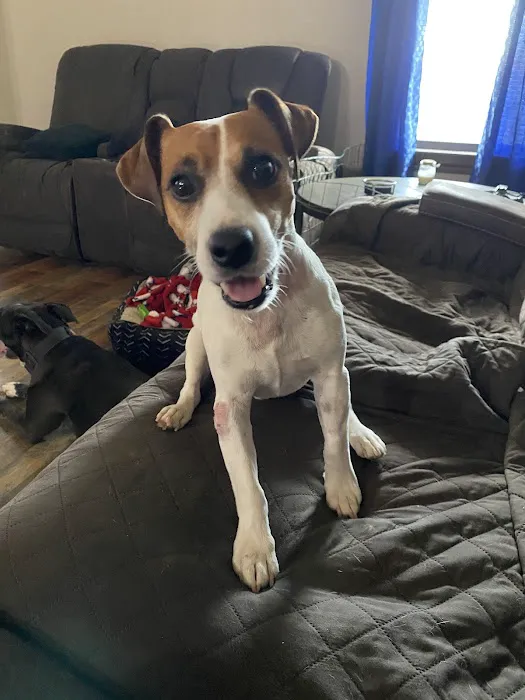 Hergenrether Animal Hospital Picture 10