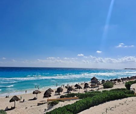 Southern Plains Animal Hospital