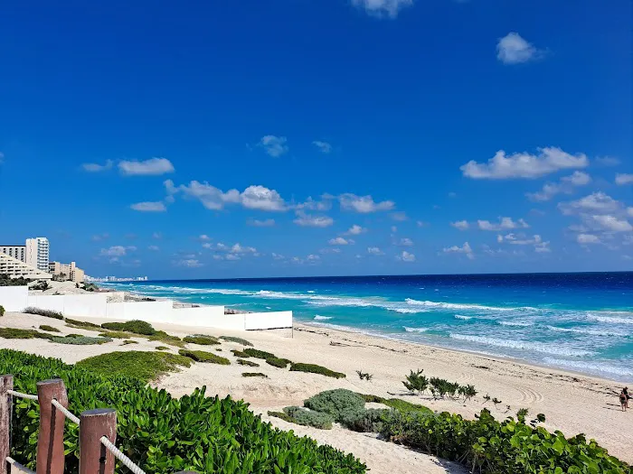 Southern Plains Animal Hospital Picture 2