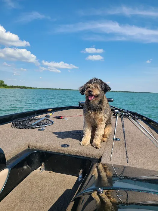 Southern Plains Animal Hospital Picture 4