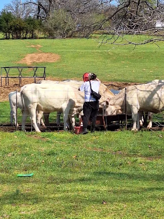Southern Plains Animal Hospital Picture 5