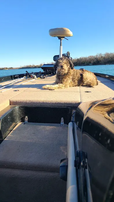 Southern Plains Animal Hospital Picture 9