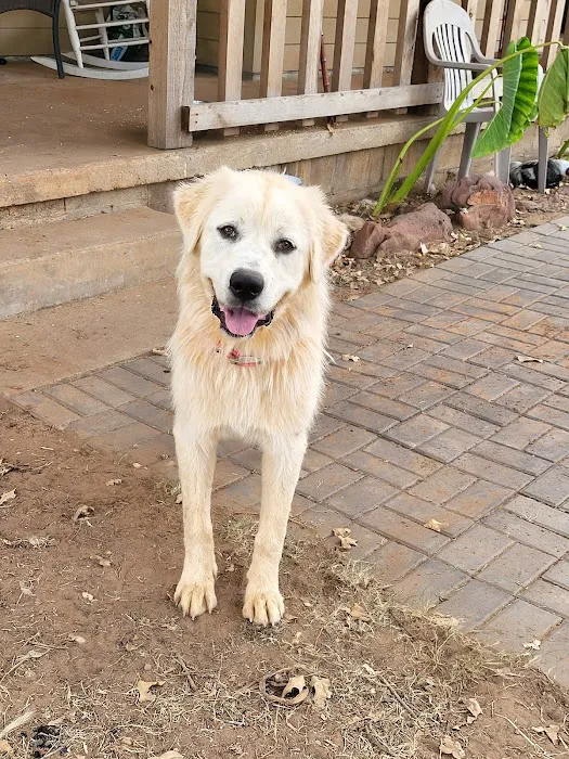 Southern Plains Animal Hospital Picture 8