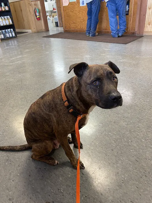 Southern Plains Animal Hospital Picture 10