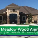 Meadow Wood Animal Hospital