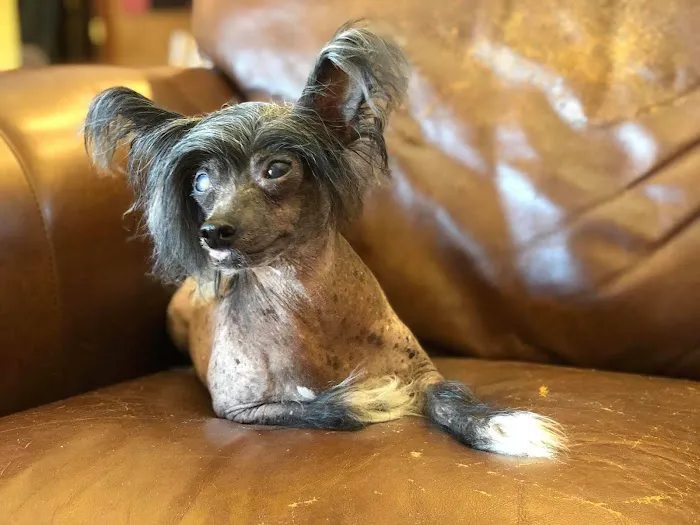 Meadow Wood Animal Hospital Picture 2