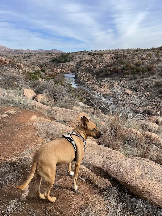 Meadow Wood Animal Hospital Picture 4