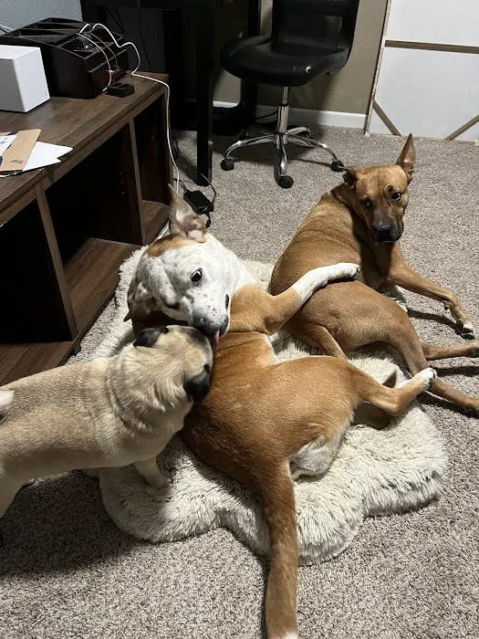 Meadow Wood Animal Hospital Picture 3