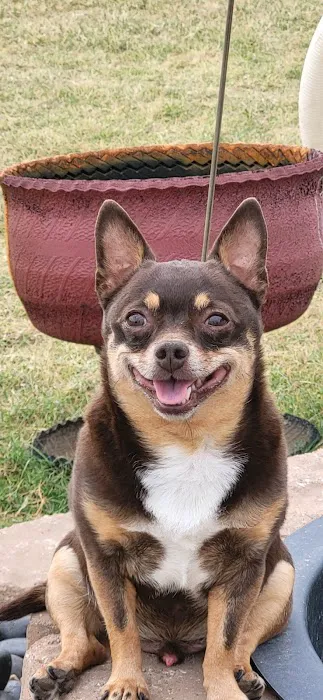 Meadow Wood Animal Hospital Picture 7