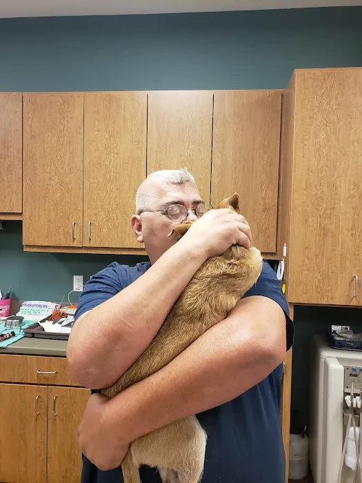 Meadow Wood Animal Hospital Picture 8