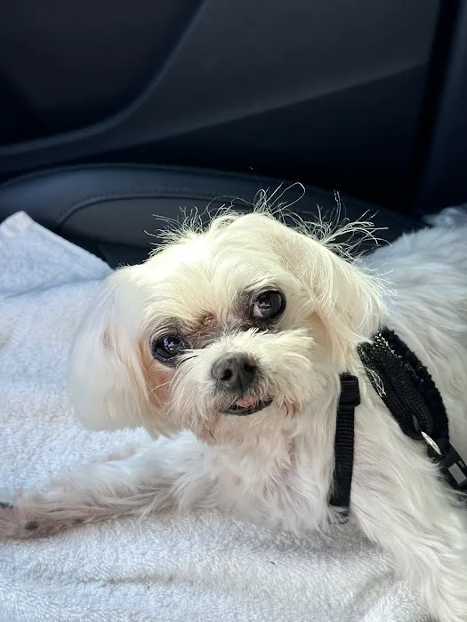 Meadow Wood Animal Hospital Picture 9