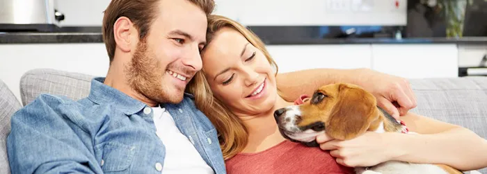 Gore West Animal Hospital Picture 8