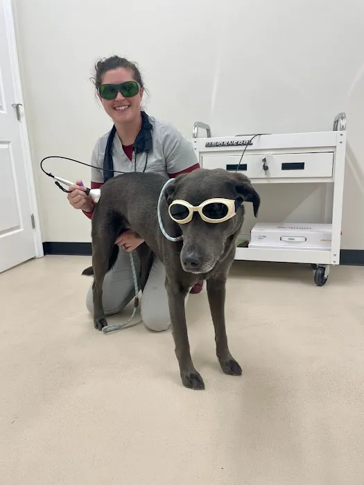 All Creatures Veterinary Service Picture 1