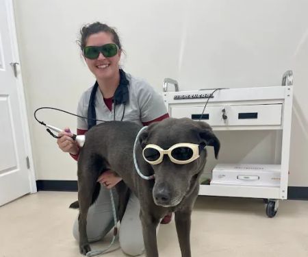 All Creatures Veterinary Service