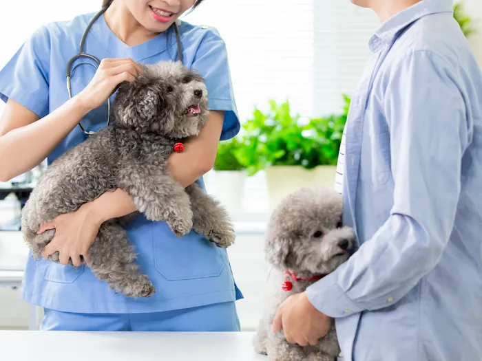 Vida Veterinary Urgent Care Picture 9