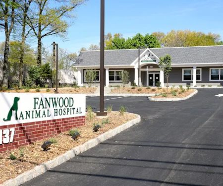 Fanwood Animal Hospital