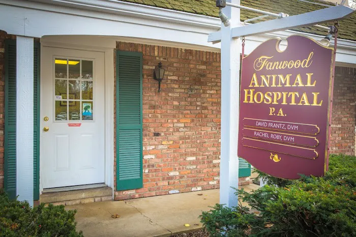 Fanwood Animal Hospital Picture 4