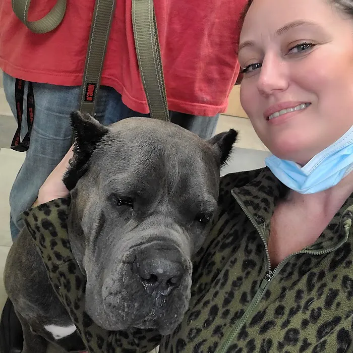 Fanwood Animal Hospital Picture 7