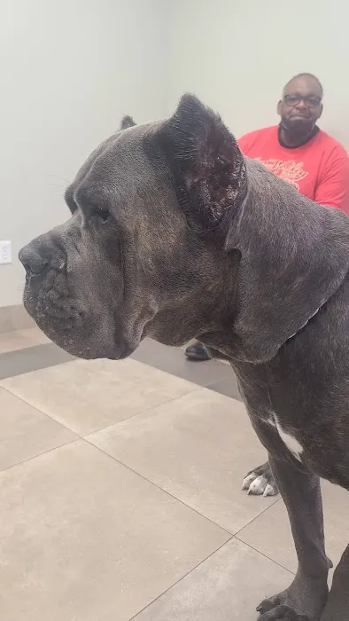 Fanwood Animal Hospital Picture 6