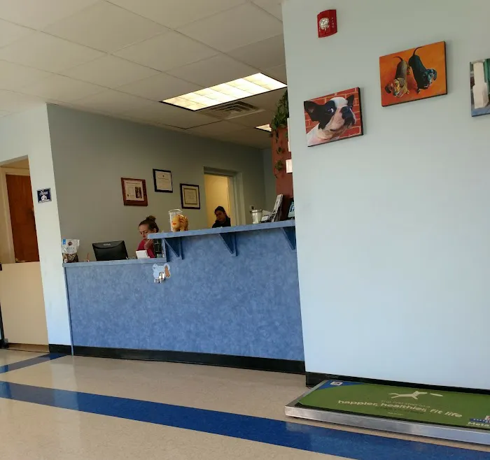 Westfield Animal Hospital Picture 5