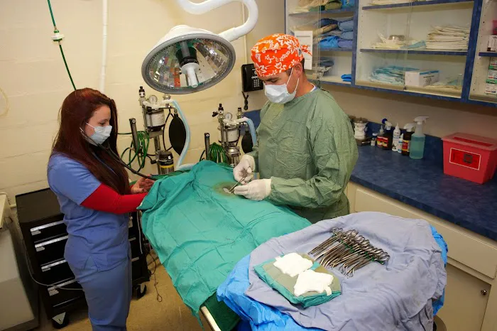 Westfield Animal Hospital Picture 4