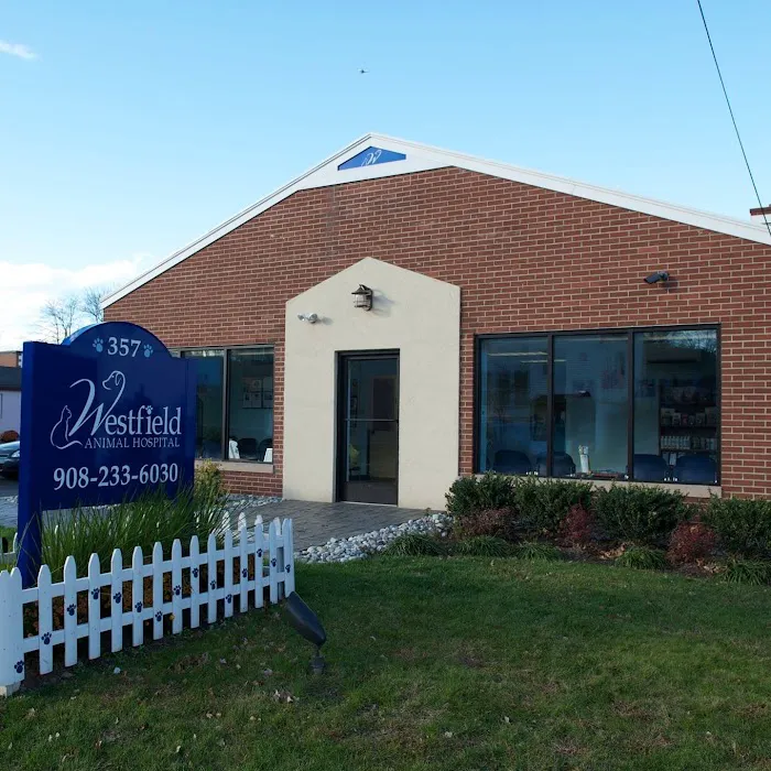 Westfield Animal Hospital Picture 10