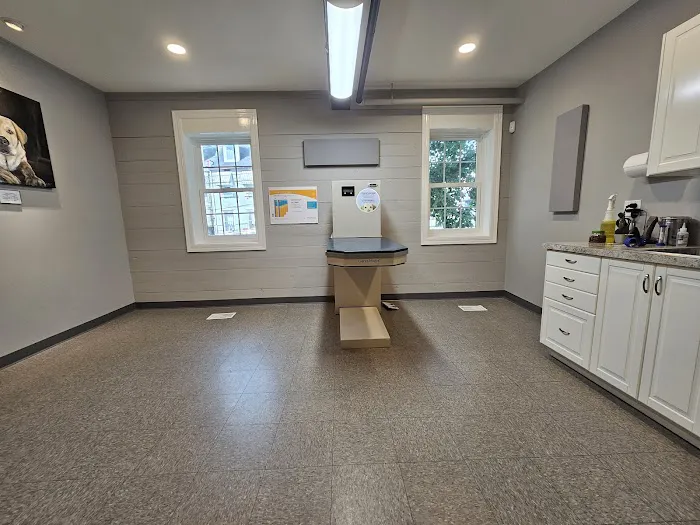 Metro Pet Vet downtown Picture 1