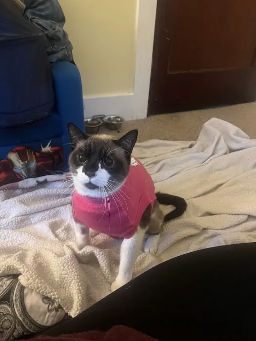 Apple Creek Veterinary Hospital Picture 3