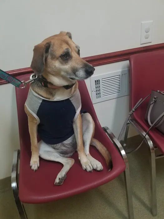 Apple Creek Veterinary Hospital Picture 5