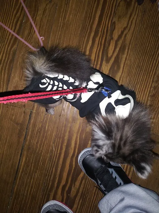 Apple Creek Veterinary Hospital Picture 8