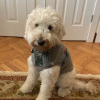 Banfield Pet Hospital ico
