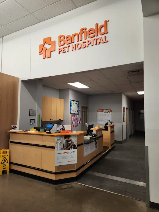 Banfield Pet Hospital Picture 5