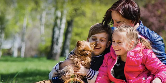 Animal Health Group on the Boulevard Picture 10