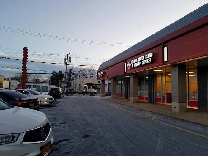 Greater Staten Island Veterinary Services Picture 3